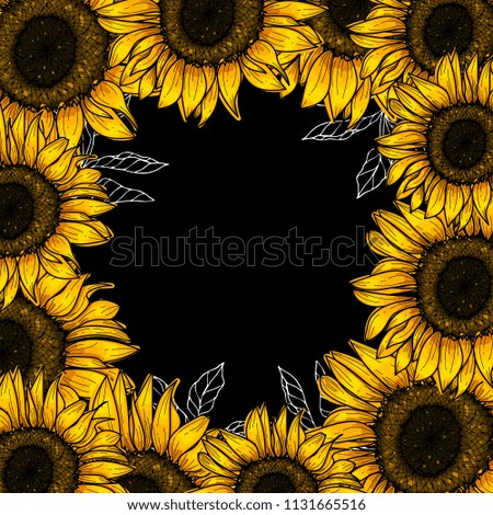Botanical floral illustration, folk borders ornament, wild meadow sunflowers, isolated on black background, card template, for book, cover, banner. Hand painted flowers. Square format