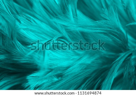 Beautiful dark green turquoise vintage color trends feather pattern texture background for Decorative design wallpaper and other