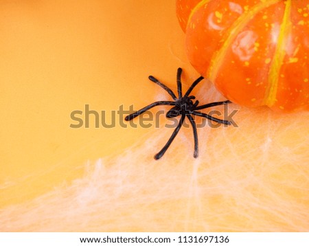 Empty rustic table in front of spider web background, orange background with bats and cobwebs, Halloween concept