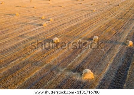 lights and shadows of wheat rolls in Ukraine