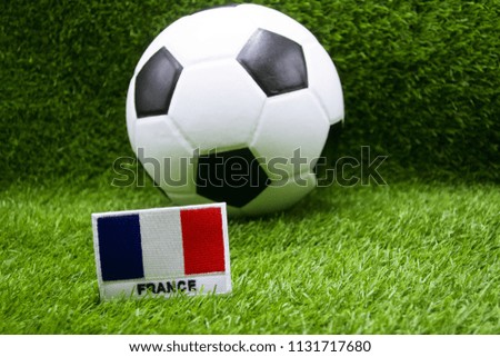  France flag and football is on green grass                   
