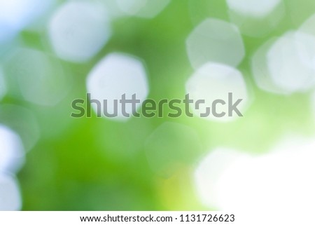Bokeh blured green floral background 