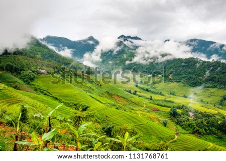 Clouds rolling across the lush rice paddy fields in the mountains of north Vietnam, Sapa. Royalty-Free Stock Photo #1131768761