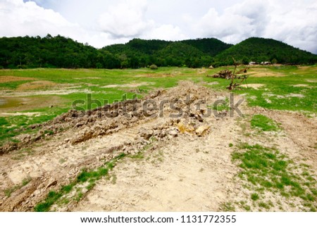 Landscape of Green Moss and meadow grass growing on cracked clay land near the lake in forest mountain at Thailand
