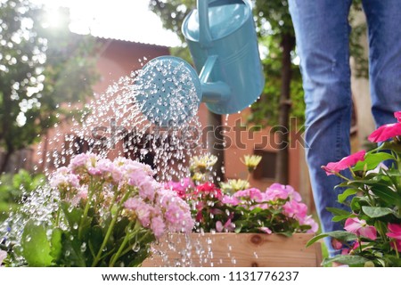 A beautiful woman in her garden, water with a blue watering can of colored flowers to give color and decorate your garden. Concept of: gardening, spring, bio. Royalty-Free Stock Photo #1131776237