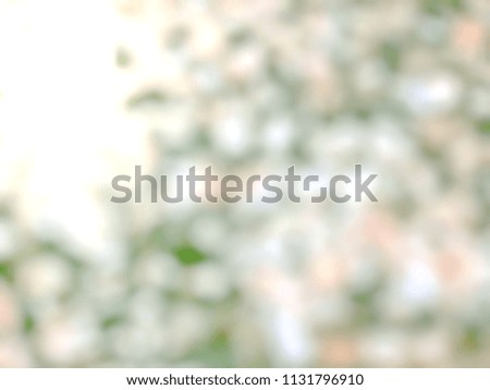 The bokeh on the background blurred the natural gray and white.nature  background concept.