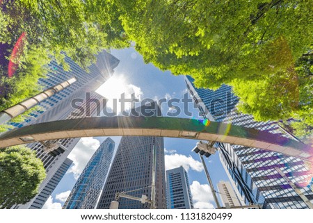 Fresh green and skyscrapers