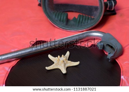 Going on vacation on the beach. A swimming circle without air. A swimming circle without air. Mask for swimming under water and a tube on a dark background. Nearby is the starfish.