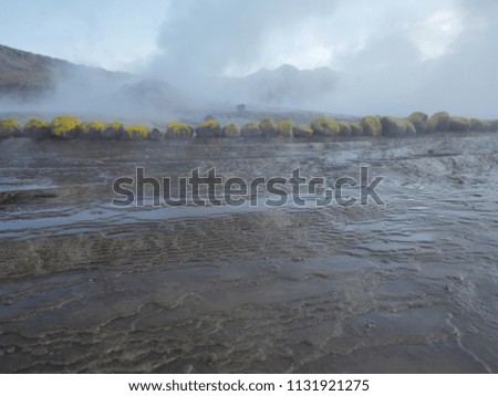 A set of geysers ejecting steam and hot water delimited by circles of yellow stones to protect tourists, in el Tatio, geyser field located within the Andes Mountains of northern Chile, South America.