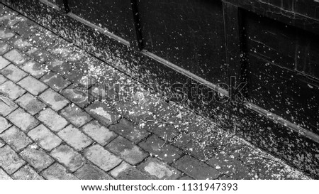 Salt scattered next to a garage door