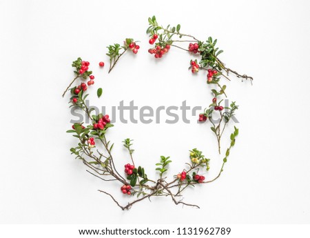 Vaccinium vitis-idaea. Lingonberry, partridgeberry, or cowberry branches on a white background. Wreath of branches of Lingonberries. Copy space. Royalty-Free Stock Photo #1131962789