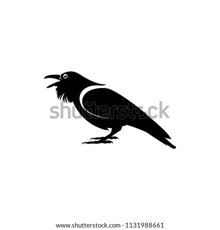 vector crow silhouette