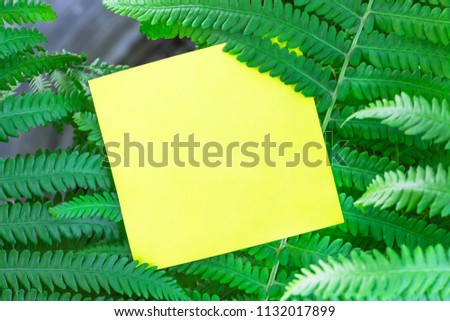 Creative layout made of green leaves with paper card note. Flat lay. Nature summer concept