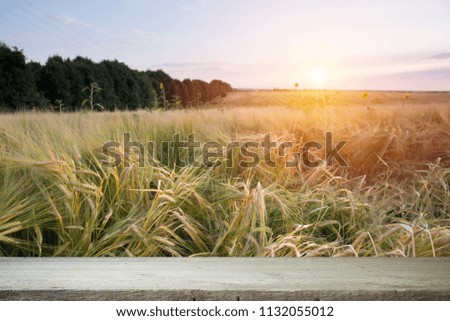 wooden board table in front of field of wheat on sunset light. Ready for product display montage
