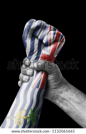 Fist painted in colors of British indian ocean territories  flag, fist flag, country of British indian ocean territories 