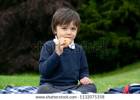 Hungry little boy eating fresh tortilla wraps with chicken, bacon and mixed vegetables, Cute school boy siting having a picnic in the park, kid eating Mexican sandwich food for his dinner 