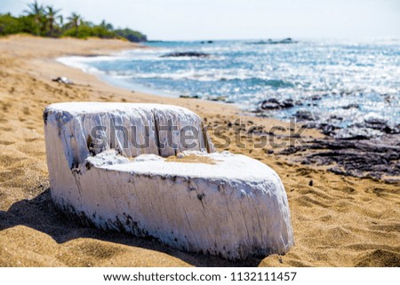 Tree Stump Seat Hawaiian Beach