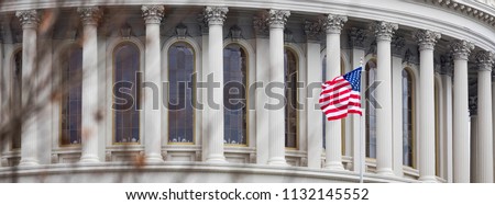 Capitol Building Washington DC Royalty-Free Stock Photo #1132145552