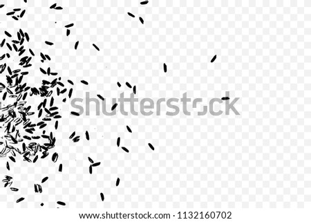 Rice background. Abstract texture for your design. White rice on transparent background. Random pattern with scattered thrown rice seeds. Vector.