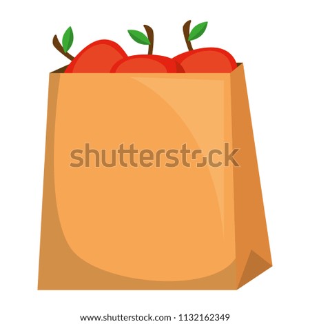 fresh tomatoes in shopping bag
