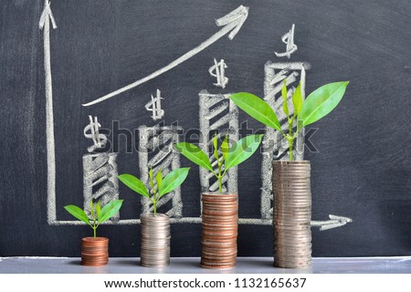 money coins saving growth up increase to high profit interest for concept investment mutual fund finance and business 