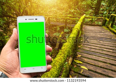 Men use smartphone blurred images in Angkha Nature Trail in Doi Inthanon National Park, Thailand.green screen
