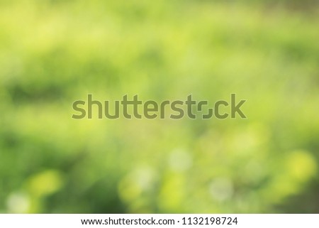 Blur of Tree Leaves for nature background and save green concept,spa,soft  made with gradient and filter colored.
