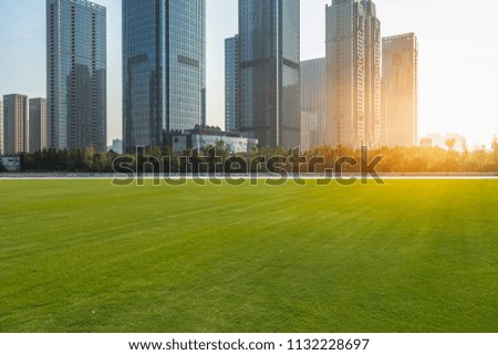 cityscape and skyline of shanghai from meadow in park
