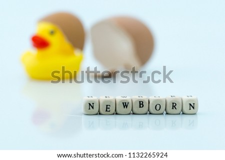 The 'NEWBORN' spelling concept uses a wooden block on the backdrop of ducks hatch blur