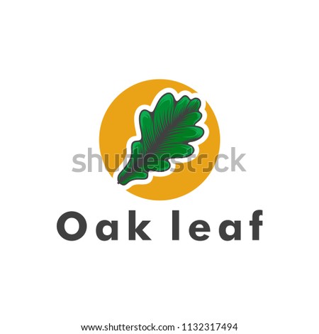 oak leaf logo template vector illustration 