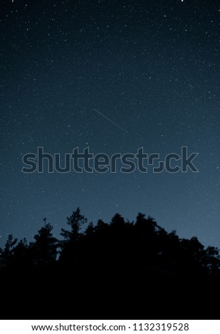 The starry night above sihlouettes of trees with a large shooting star. Six smaller ones are visible in the full resolution photo