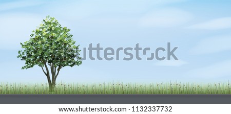 Alone tree and road in green field area with blue sky and clouds background. Outdoor natural abstract background. Use for natural article both on print and website. Vector illustration.