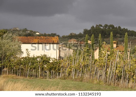 storm coming towards lovely vineyard in Tuscany