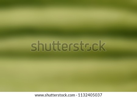 Leaf hosts. Texture. Green natural background. Blurred focus.
