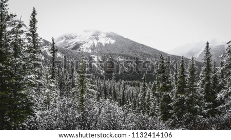Canadian mountainous landscape