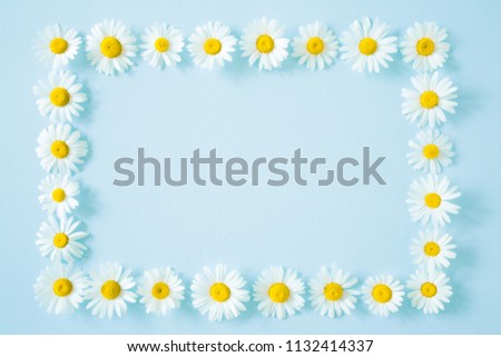 Beautiful, fresh white daisies on pastel blue background. Wild flowers. Soft light color. Greeting card. Mockup for positive idea. Empty place for inspirational, emotional, sentimental text or quote.