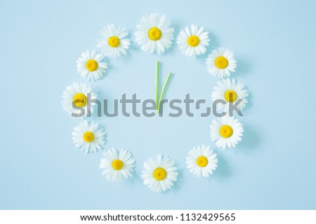 Flower clock created from fresh, beautiful white daisies on pastel blue background. Wild flowers. Soft light color. Time concept.