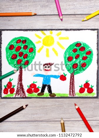 Photo of colorful hand drawing: young, smiling man is holding apples. Apple trees in the orchard