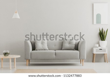 Green plant on a scandinavian cabinet with drawer and a cozy couch with pillows in a gray, simple living room interior with place for a coffee table. Real photo. Royalty-Free Stock Photo #1132477883