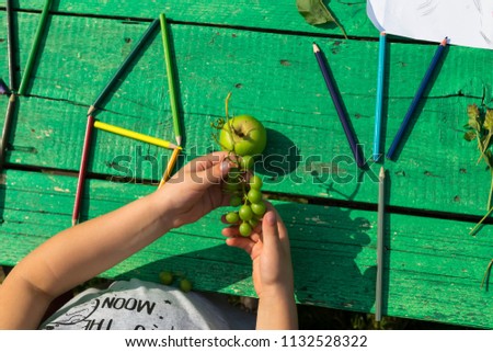 the child draw picture with colorful pens,apples and flowers on the wooden green table in the nursery or school for activity concept. creative ideas for child development.