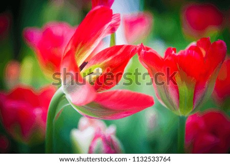 It’s beautiful down shaped vibrant red flowers and bright yellow center details blooming on the top of the green stick.Make it attractive in the garden.