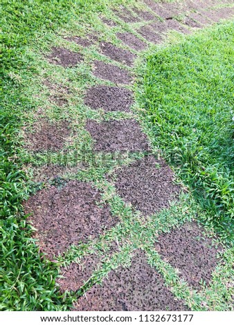 Laterite stone walkway with grass in the park