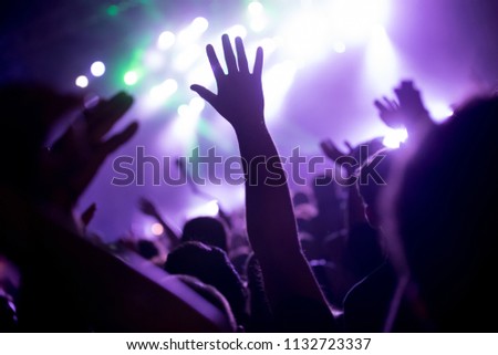 Picture of party people at music festival