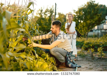 The happy young family during picking corns in a garden outdoors. Love, family, lifestyle, harvest concept. Smiling man and small child girl. Green trees background.
