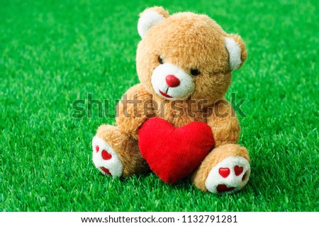 Bear with heart sitting on the grass