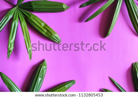 Pink background leaves