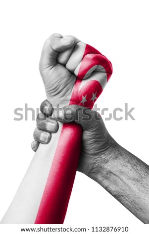 Fist painted in colors of Singapore flag, fist flag, country of Singapore