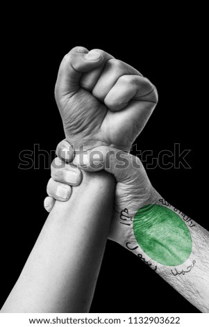 Fist painted in colors of Somaliland flag, fist flag, country of Somaliland