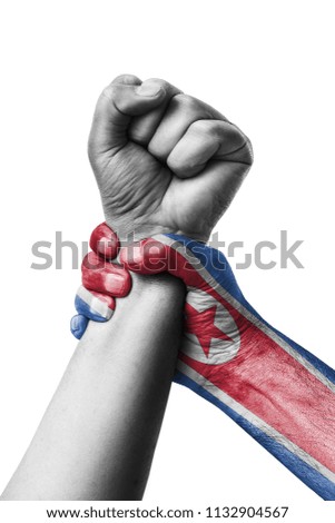 Fist painted in colors of Korea north flag, fist flag, country of Korea north
