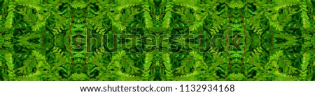 Green leaf pattern with droplet use for Eco energy and clean technology background 